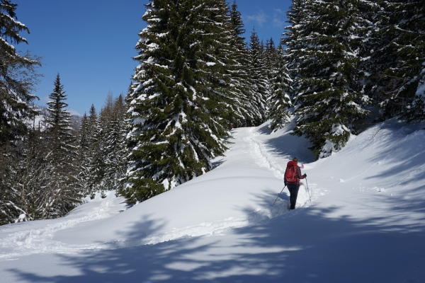 Col des Mosses ensoleillé