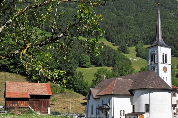 Sur les flancs du Moléson