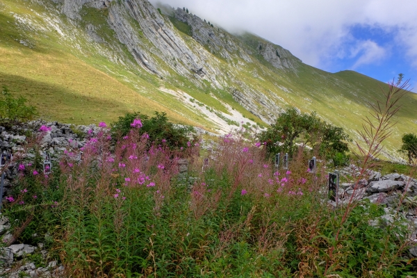 Vers l’alpage de L’Urqui (FR)