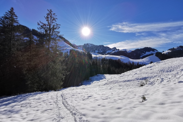 Boucle en raquettes à travers la Gruyère