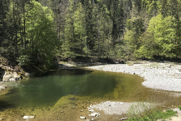 Schattige Gräben und sonnige Höhen im Appenzell