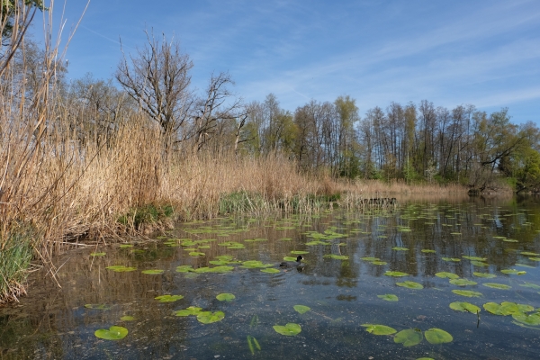 Jusqu’au lac de Burgäschi