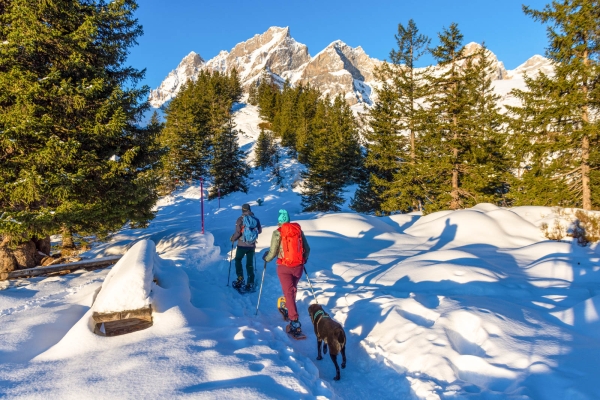 Winterfreuden über dem Urnertal