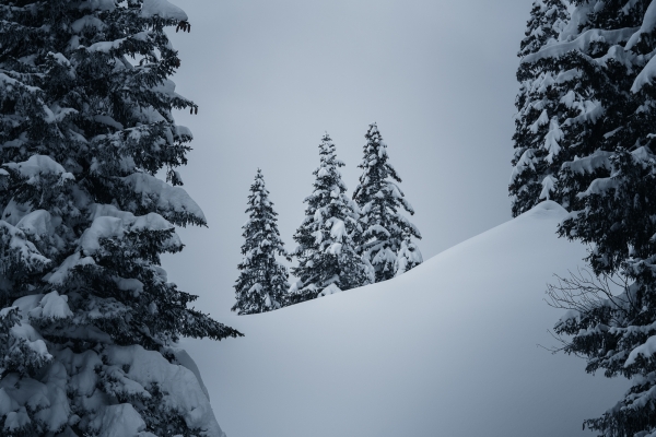 Hiver magique en haut du lac de Walenstadt 