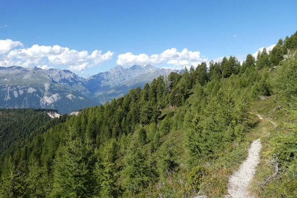 L’Illgraben vu d’en haut