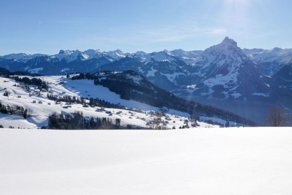 Schneeschuhwandern am Mattstogg