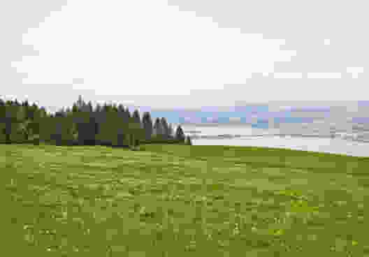 Alpweiden zwischen Sihlsee und Zürichsee