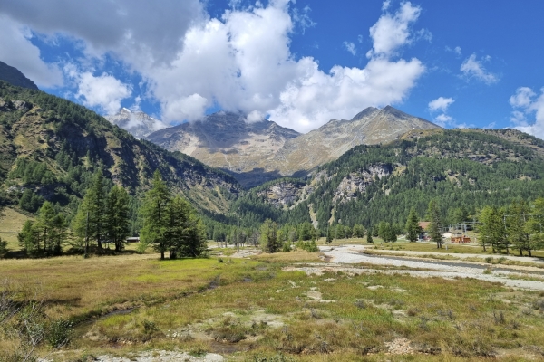 Durch das Val da Pila auf die Alp Grüm