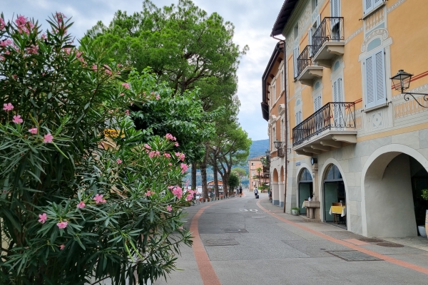 Vom Künstlerdorf an die Uferpromenade