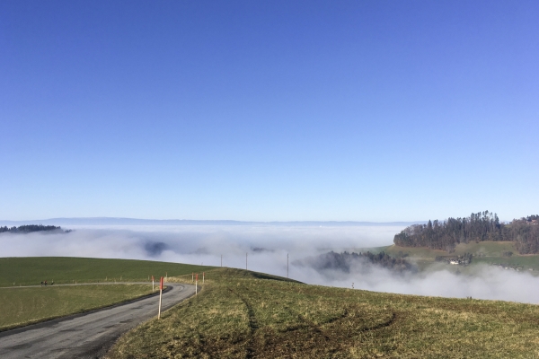 Winterlicher Schwarzwassergraben