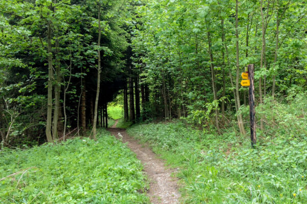 Auf dem Freiburger Voralpenweg