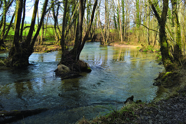 Von Chavannes-de-Bogis nach Versoix