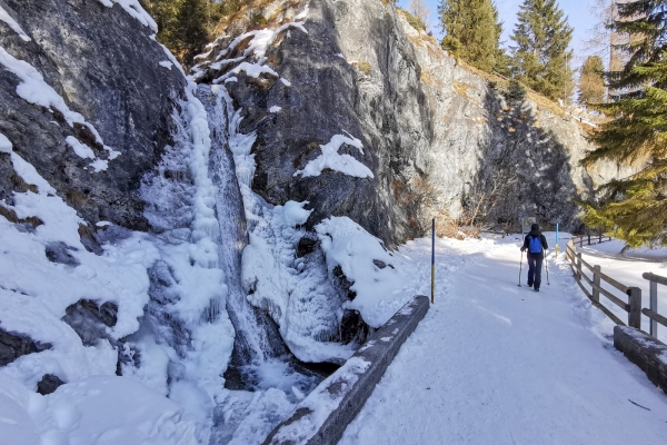 Soleil hivernal dans la vallée de la Landwasser