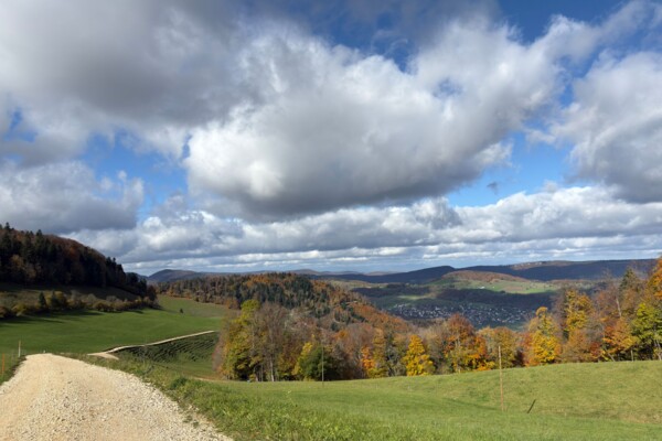 Sur la crête du Fringeliberg