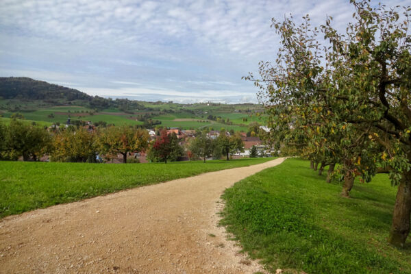 Im Jurapark Aargau