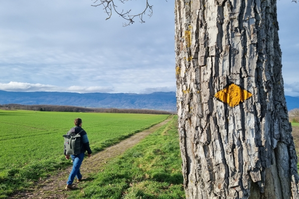 Verdauungsspaziergang im ländlichen Genf