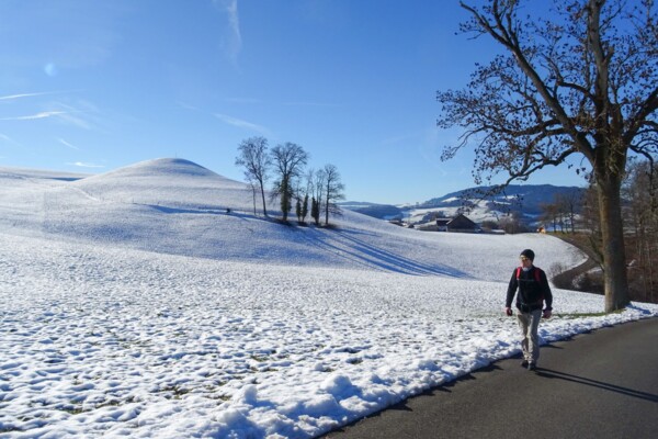 Vers les kames de la Gruyère