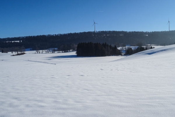 Randonnée hivernale dans les Franches-Montagnes