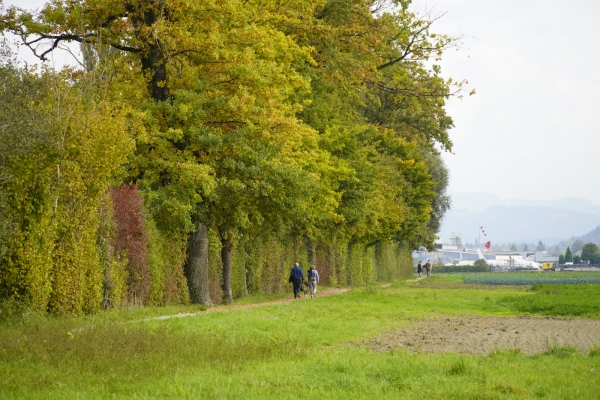 Randonnée familiale bernoise