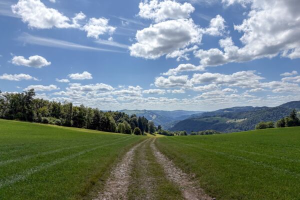 Auf einsamen Jurahöhen bei St-Ursanne
