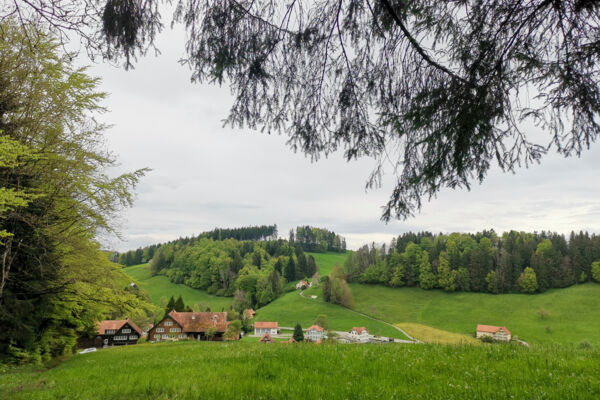 Entraînement dans l’avant-pays appenzellois