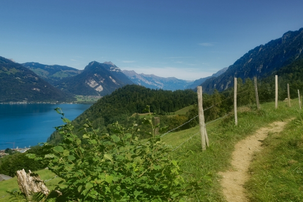 Malerisches Wandern über dem Thunersee