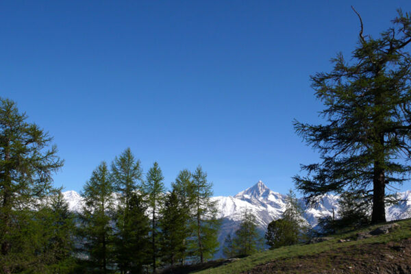 Aufs Dreizehntenhorn
