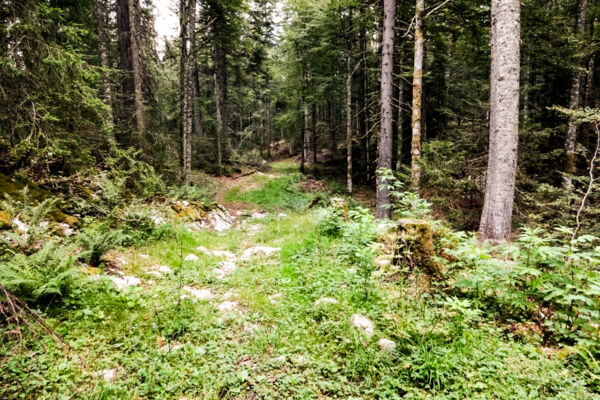 Rundwanderung La Brévine