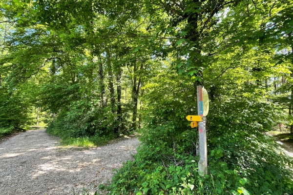 Idylle im hohen Norden