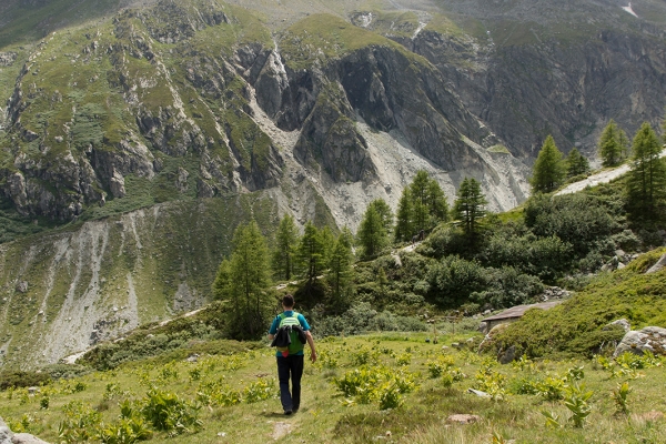Initiation à la vie alpine au-dessus de Zinal