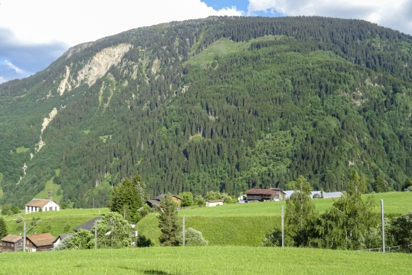 Surfaces d’arbres déracinés dans la Surselva