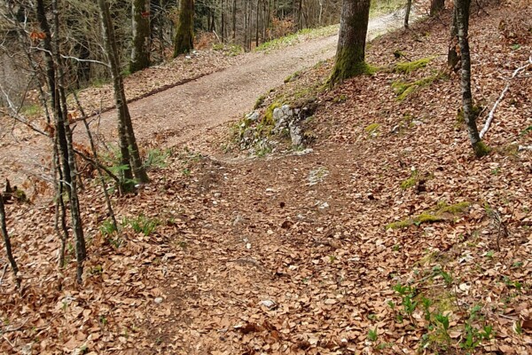 Villiers, Montagne de Chézard, de Cernier, gare des Hauts-Geneveys