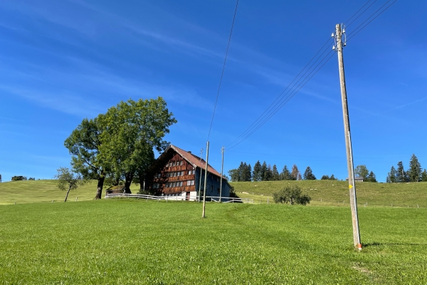 Durchs grüne Appenzellerland