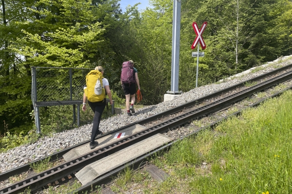 Douceur printanière et belles vues au Rigi