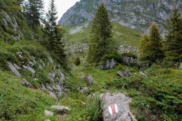 Dem Titlis entgegen im Engelbergertal