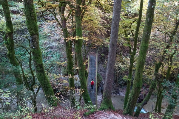 Près de Fribourg, les gorges du Gottéron