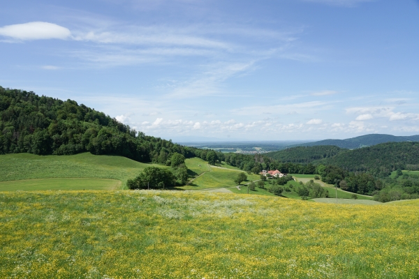 Von Courgenay an den Doubs