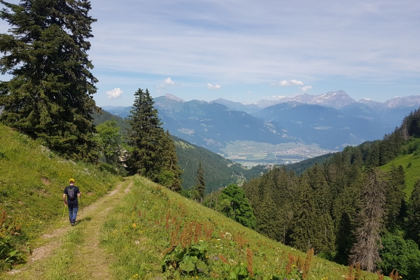 Auf den Spuren der Mufflons