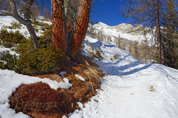 Godersi un tour in Val Bedretto