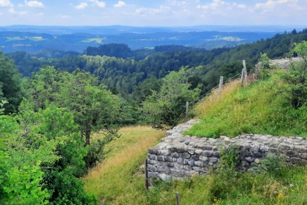 Tösstal: Von Kollbrunn nach Turbenthal