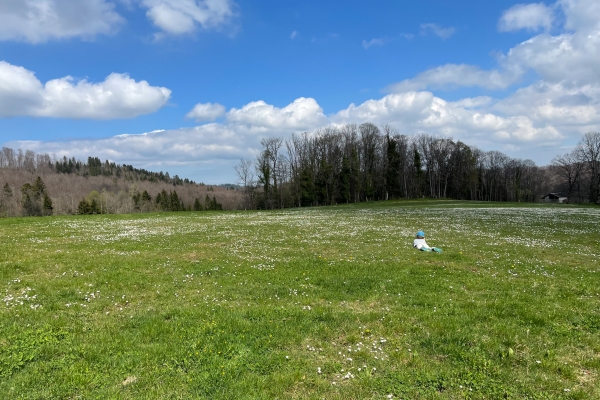 A saute-frontières entre Damvant et Réclère