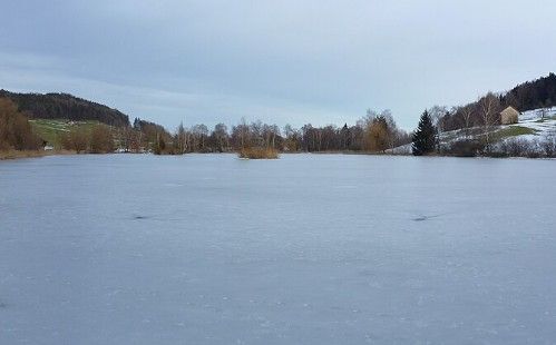 Bettenauer Weiher