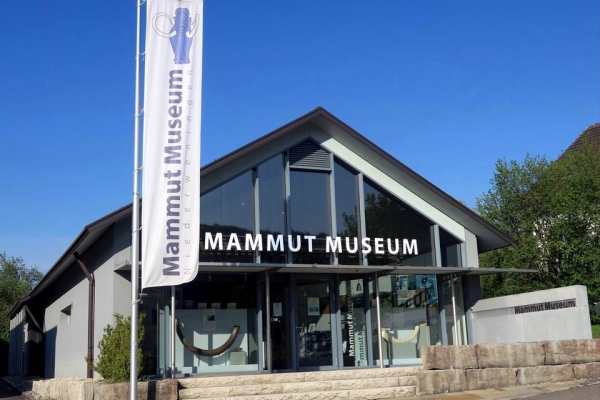 Excursion et visite du Musée du Mammouth