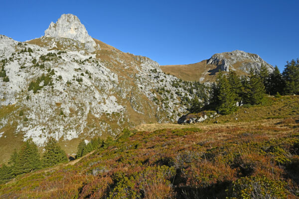 Sur les Cornettes de Bise