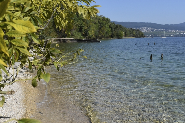 De la presqu’île au lac de Neuchâtel