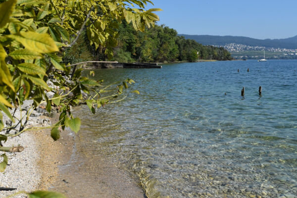 Von der Areuse zum Neuenburgersee