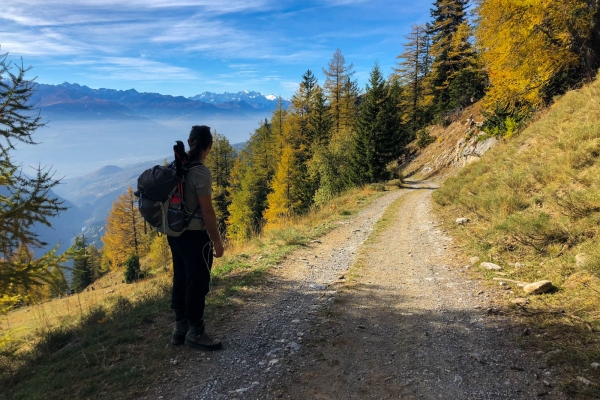 Épinglé sur Ecole - Automne