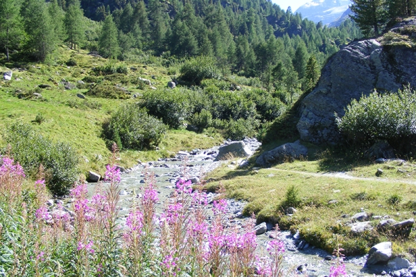 Vallée de Tourtemagne 