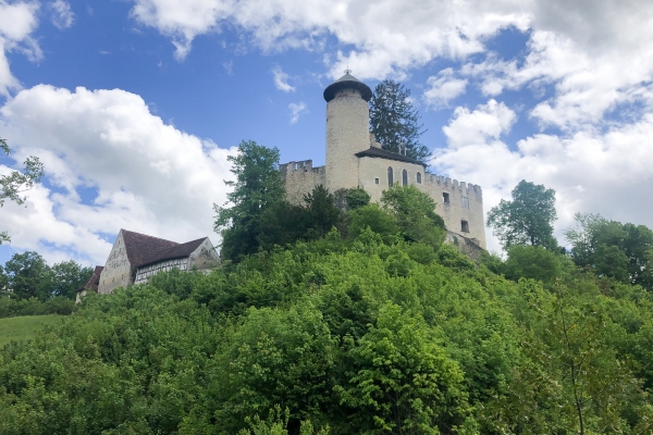 Les trois châteaux du district de Dorneck