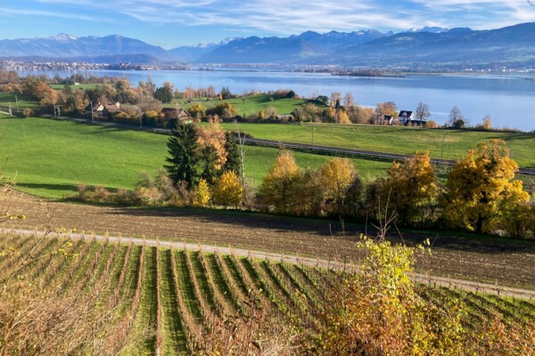 Vom idyllischen Toteissee zum Zürichsee